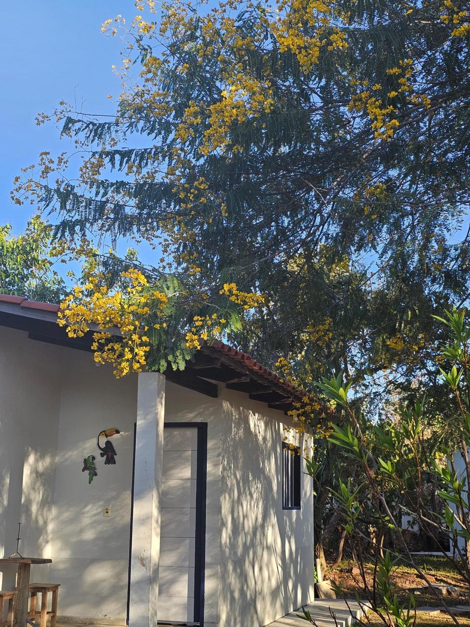 Estancia Morro Do Frota Pirenópolis Eksteriør billede